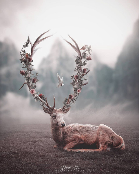 12 Singha  editing background