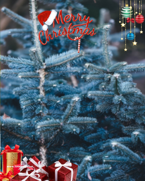 2022 Christmas background images for Snapseed