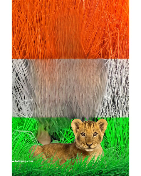 26 jan HD CB Editing Background