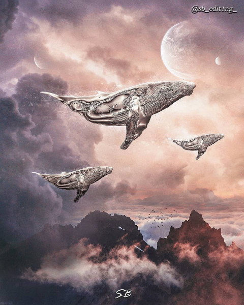 3D Visual Wallpapers Download (7)