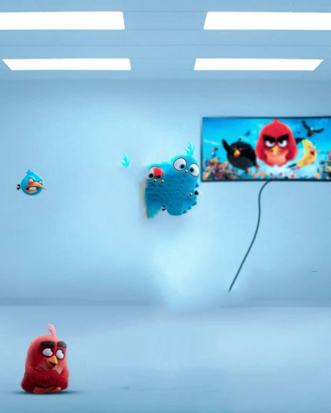Angery birds editing background