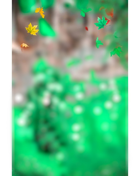 Autumn cb editing background