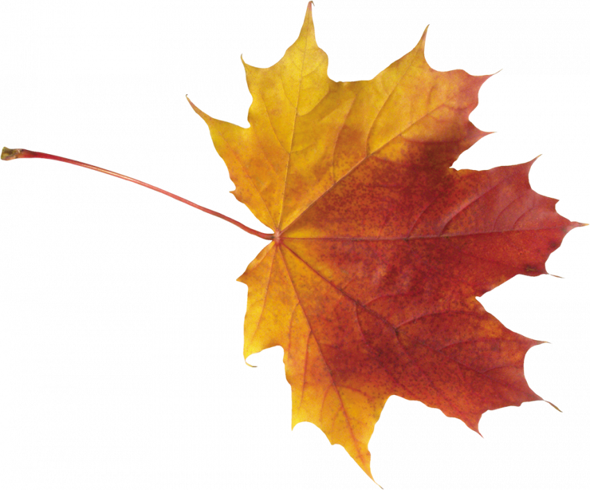 Autumn clipart transparent png,Autumn transparent png images