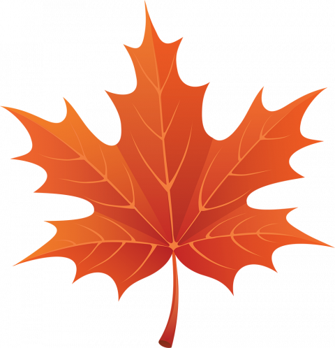 Autumn leaf transparent background,Autumn transparent png images