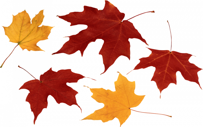 Autumn transparent png images,Autumn transparent png images