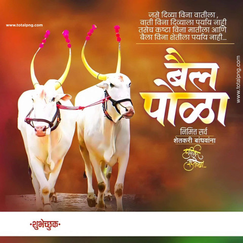 Bail Pola Banner Editing 2024  Bil Pola Banner Editing background