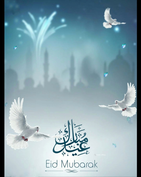 Bakar id editing background