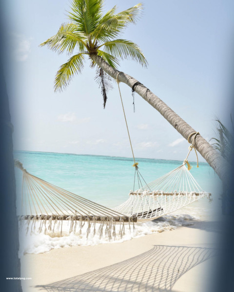 Beach editing background