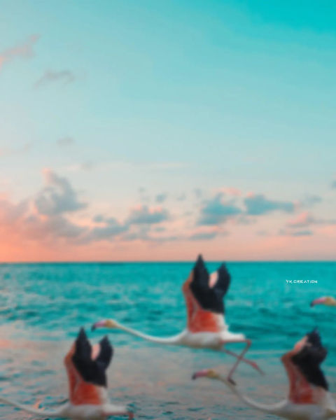 Beach photo editing background