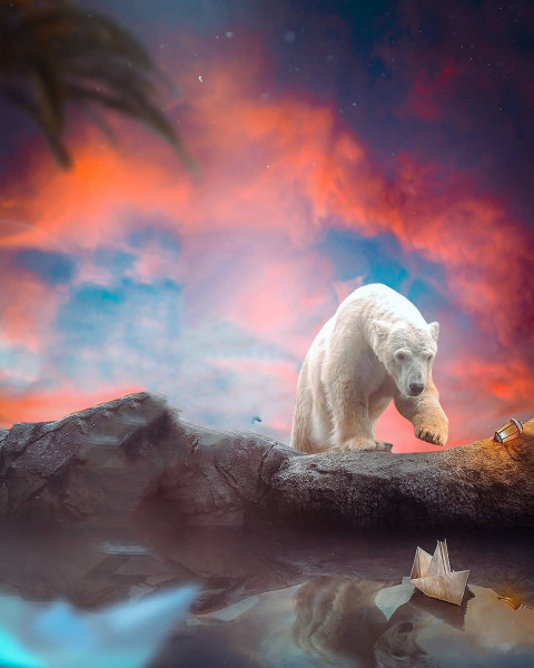 Bear red sky editing background