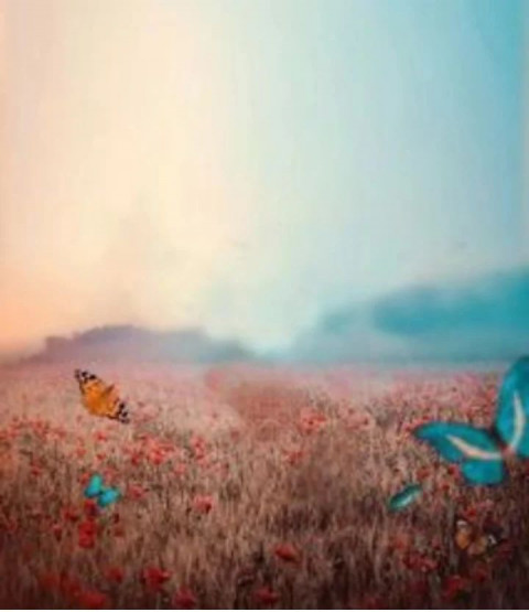 hd Editing Background Download