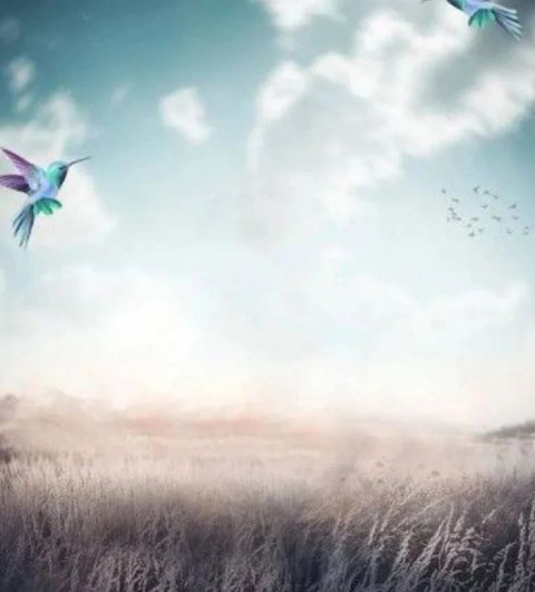 Bike & car hd Editing Background Download