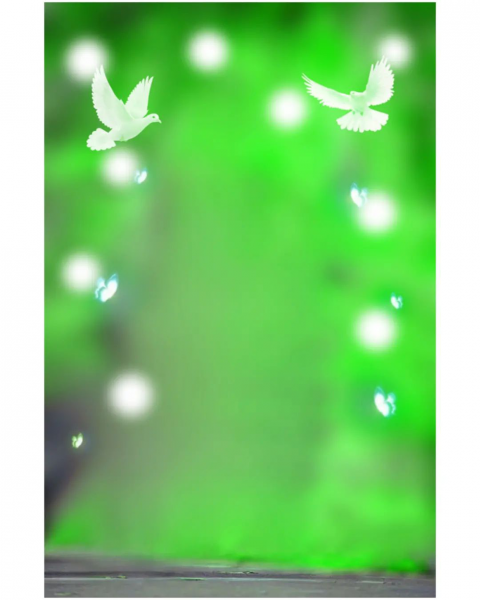 Birda lover cb editing background download