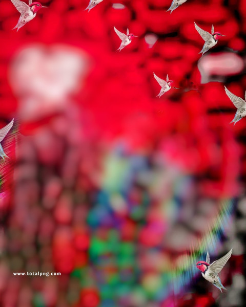 Birds cb background free download