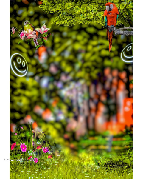 Birds cb background photoshop