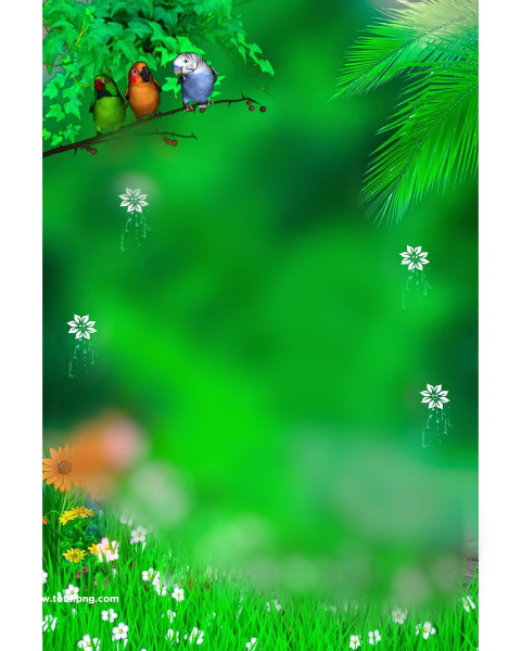 Birds cb editing background picsart hd