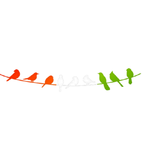 Birds  transparent backgrund png