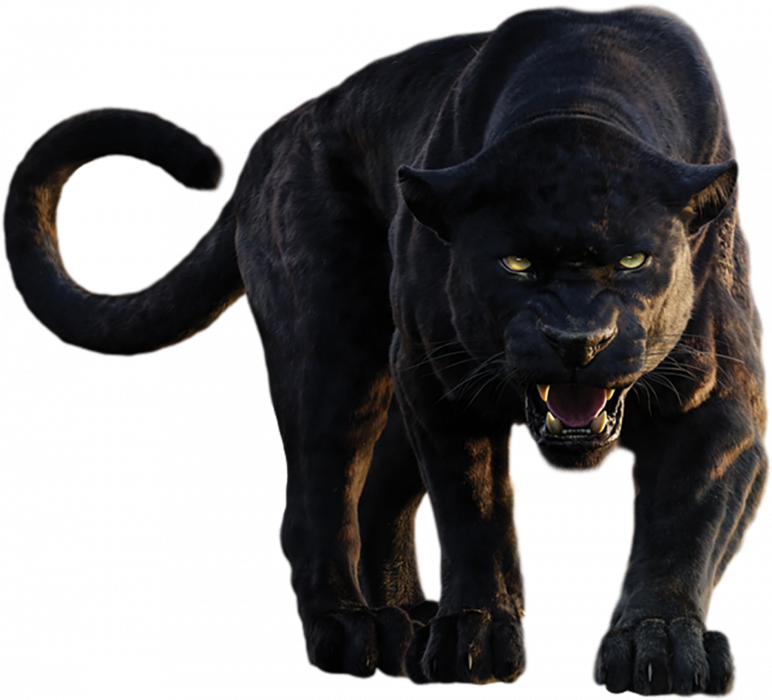 Black pnather hd transparent png images