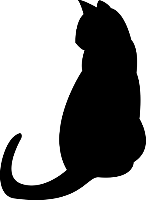 Black  Transparent Background Cat Png, Png Download