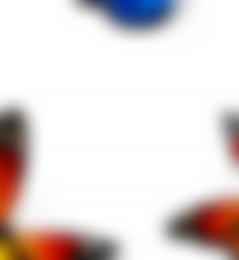 Blur butterfly transparent png images