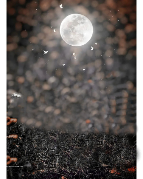 Blur Cb Background Bokeh Effect For Picsart Manipulation Editing