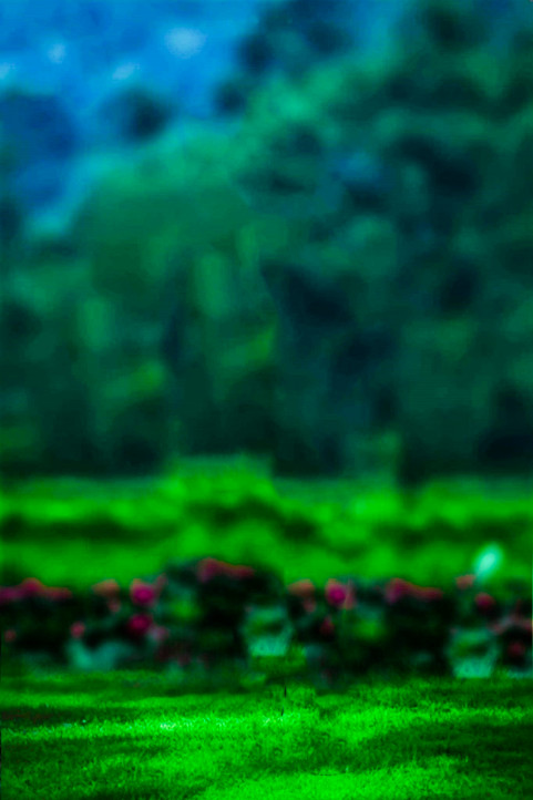 Blur Cb editing background Download