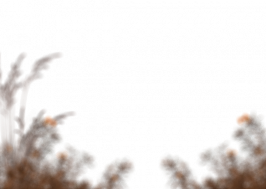 Blur grass transparent png images,Grass png images