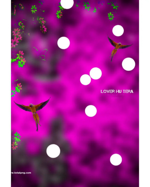 Bokeh effect cb editing background