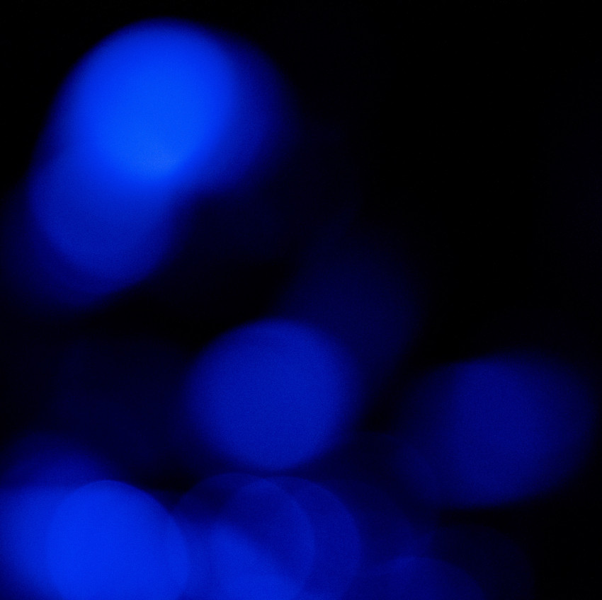 BOKEH EFFECT PNG (2)