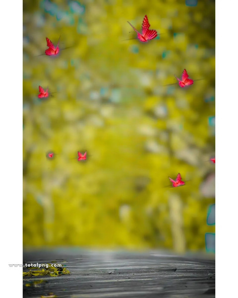 Butterflies cb background free