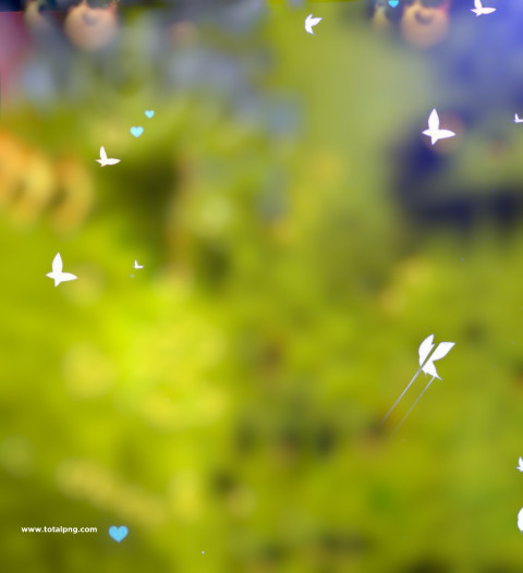 Butterflies hd cb editing background