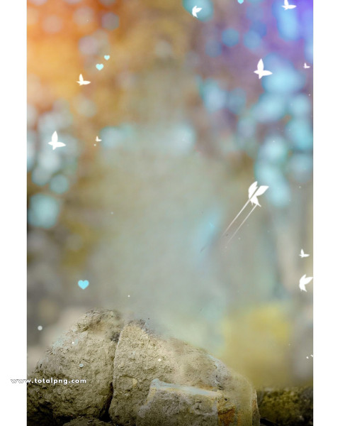Butterflies hd cb editing background new