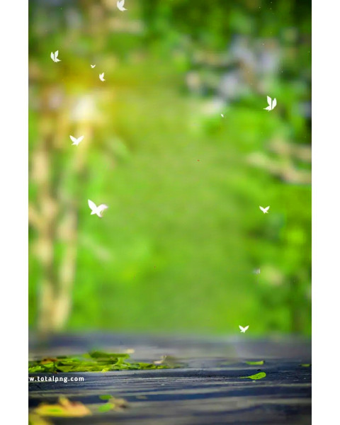 Butterflies totalpng cb editing background