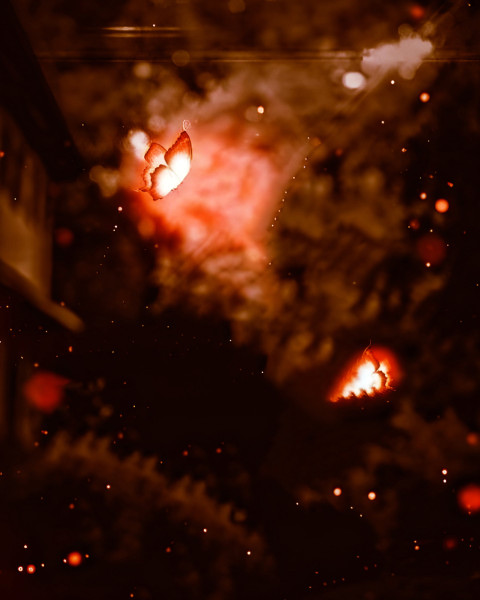 Butterfly cb backgrounds by totalpng