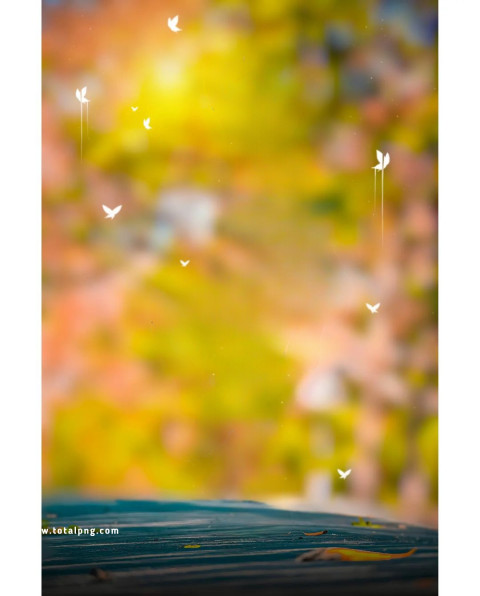 Butterlies new hd cb background