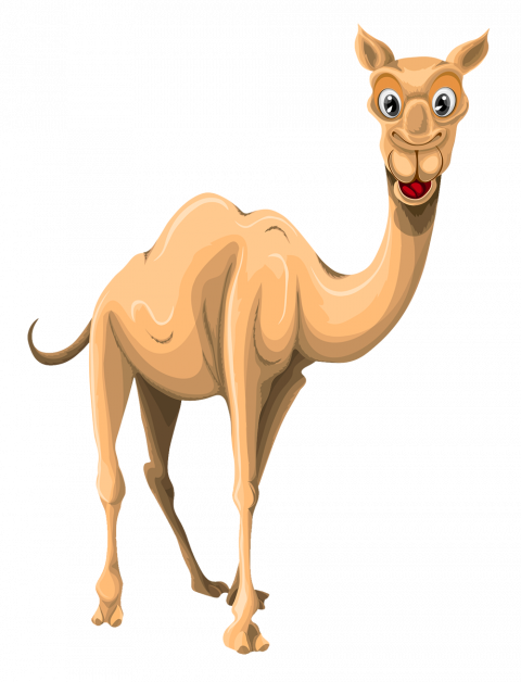 camel transparent clipaert background
