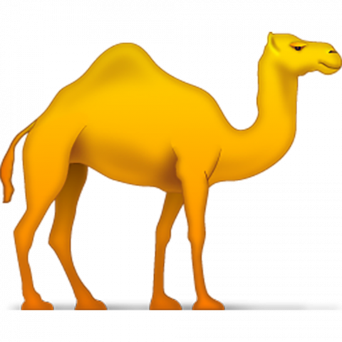 cartoon camel transparent background