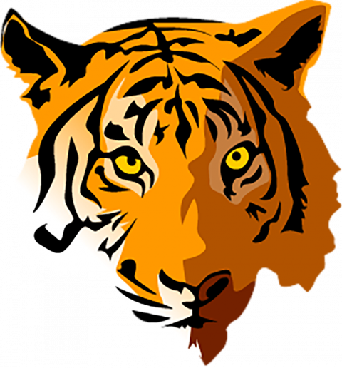 Cartoon tiger transparent png image