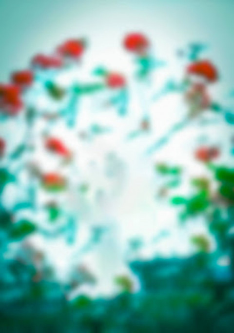 Cb background 2022 download