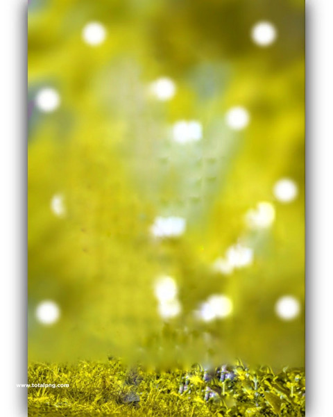 cb editing background for editing (2)