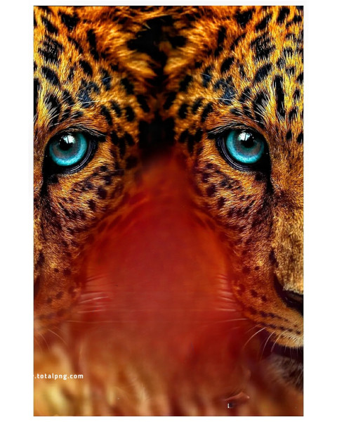 Cheeta cb background totalpng