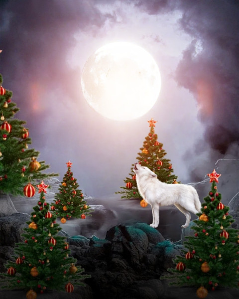 christmas editing background