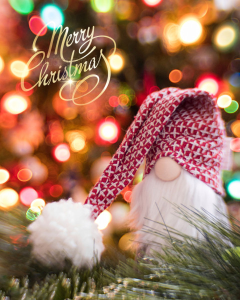 Christmas Editing Background Download