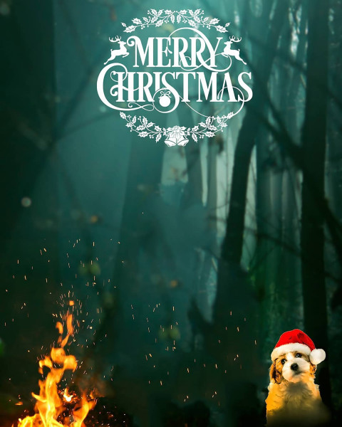 Christmas photo editing background images