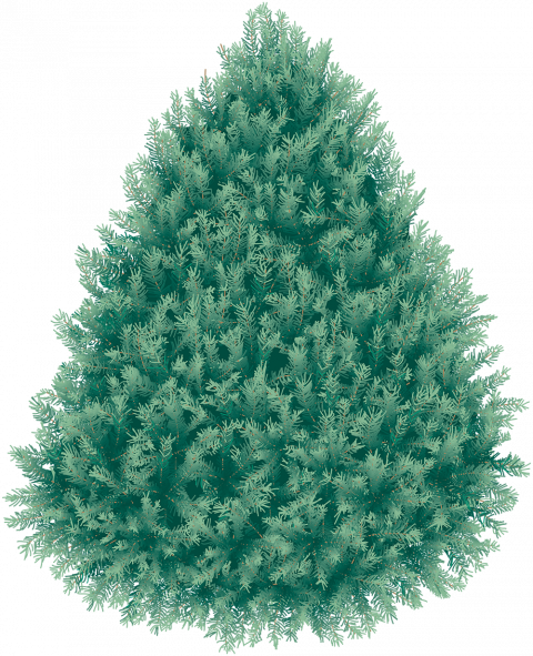 Christmas transparent png