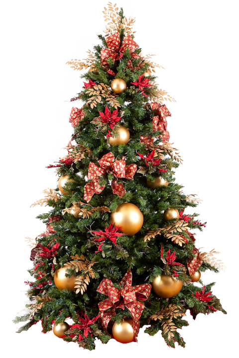 Christmas Tree PNG Transparent Images Free Download