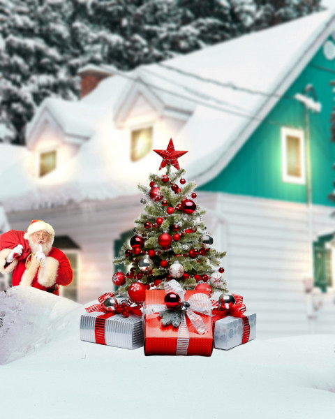 Christmas winter editing background