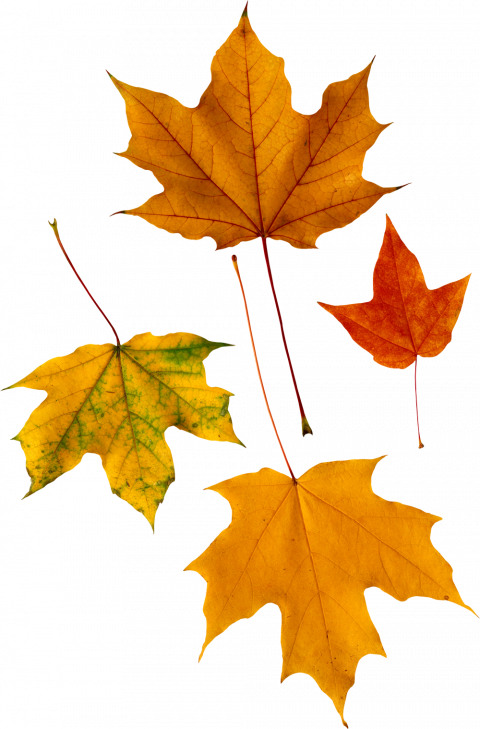 Clipart autumn transparent png images,Autumn transparent png images