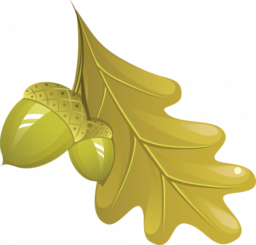 Clipart transparent background,Autumn transparent png images