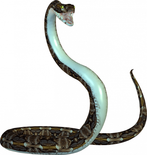 Cobra sanke png download